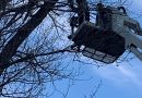 2022. január 20. Dömsöd, Középső-Dunapart – fa ága lehasadt