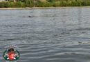 2026. április 28. Szigetújfalu, Rév kikötő – holttest a Dunában